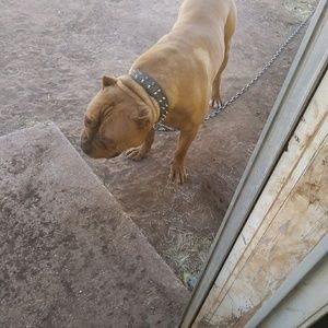 Meet your Posher, Jerome